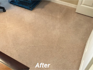 Carpet Cleaning Davenport fl, carpet cleaning davenport florida, carpet  cleaners davenport fl, steam cleaning davenport fl, carpet cleaning company  in davenport florida, upholstery cleaning davenport florida, furniture  cleaning davenport fl, tile and